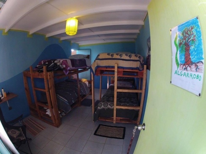Bed in Dorm
