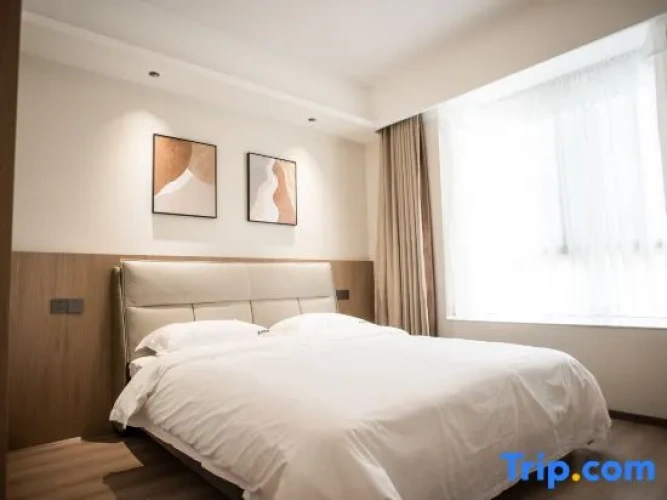 Comfort Suite
