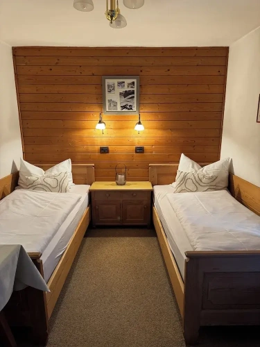 Standard Twin room with balcony and with mountain view