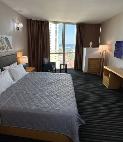 Luxury Single room