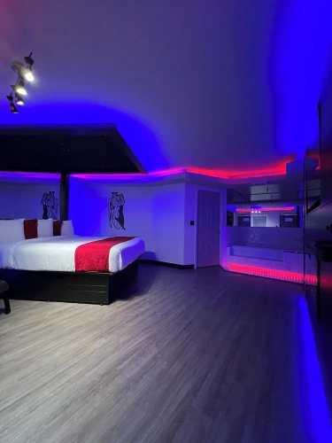 Standard Suite