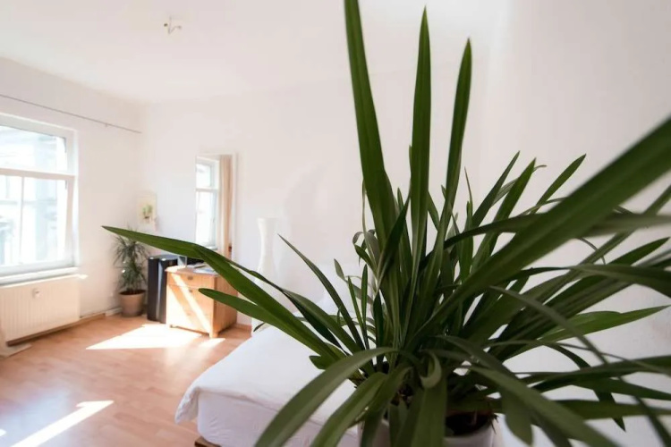 Peters Wohnung