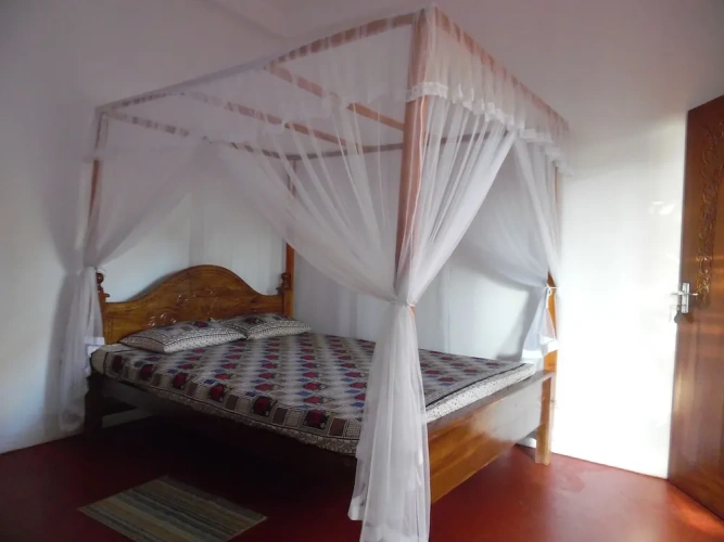 Standard Double room with ocean view