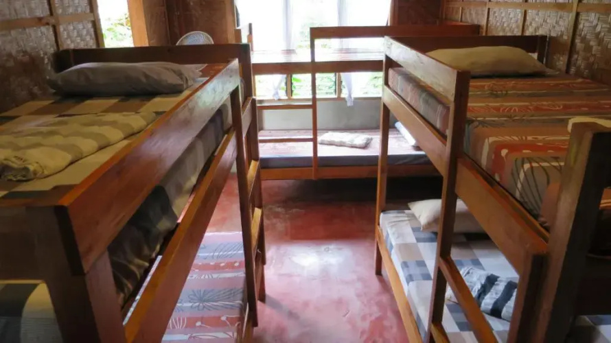 Lazy Lizard Hostel