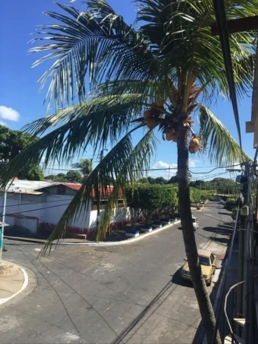 1 Bedroom Comfort Double Apartment