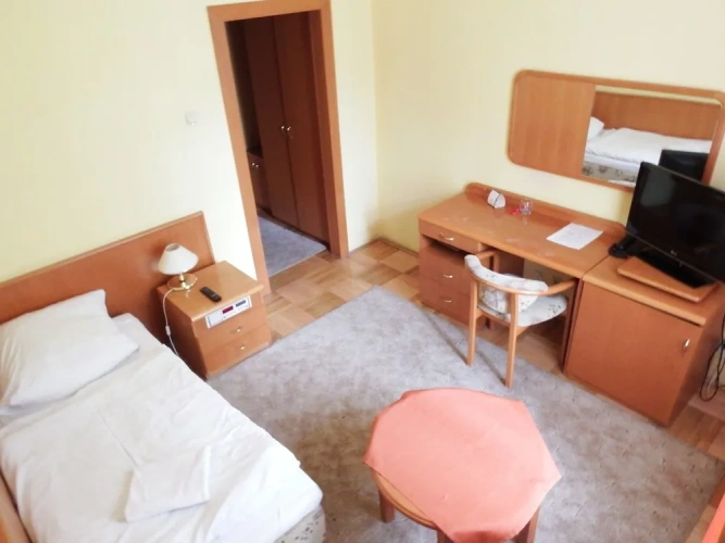 Standard Single room with park view