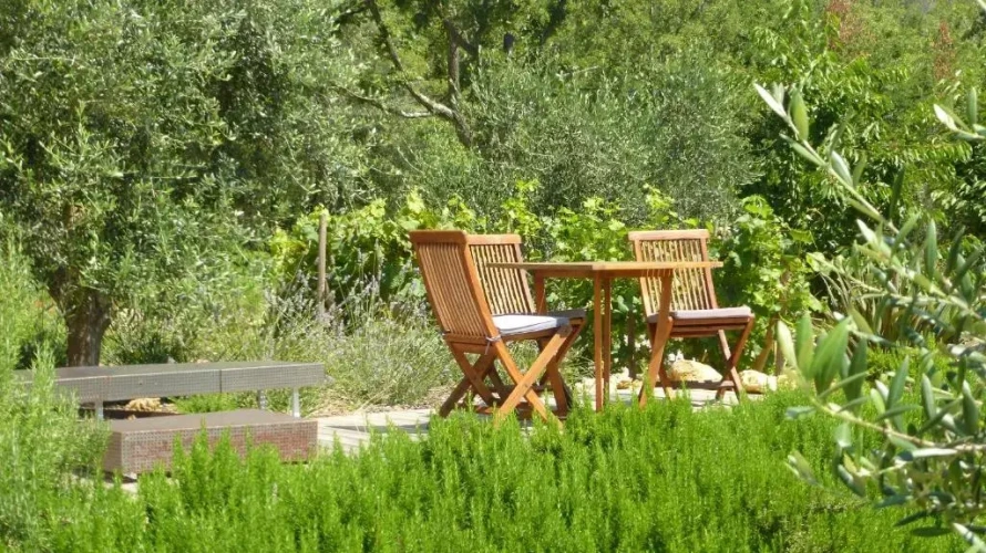 Standard Double room with garden view