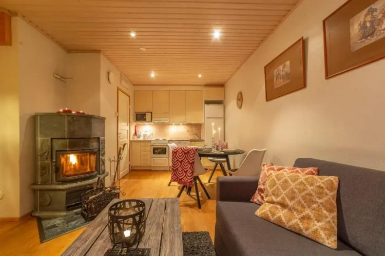 1 Bedroom Twin Apartment