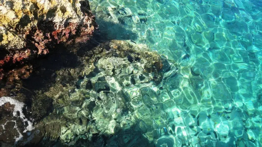 Adriatic Escape