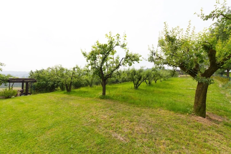 Deluxe Double room with land view