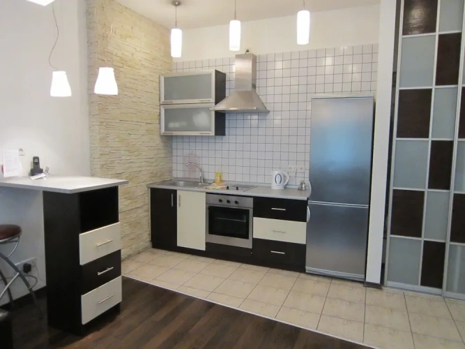 1 Bedroom Basement Apartment