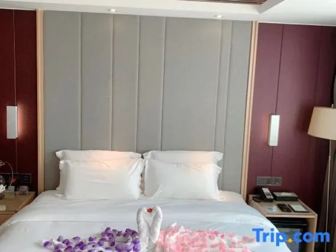 Standard Double room with garden view