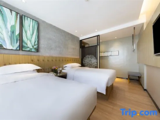 Luxury Twin room