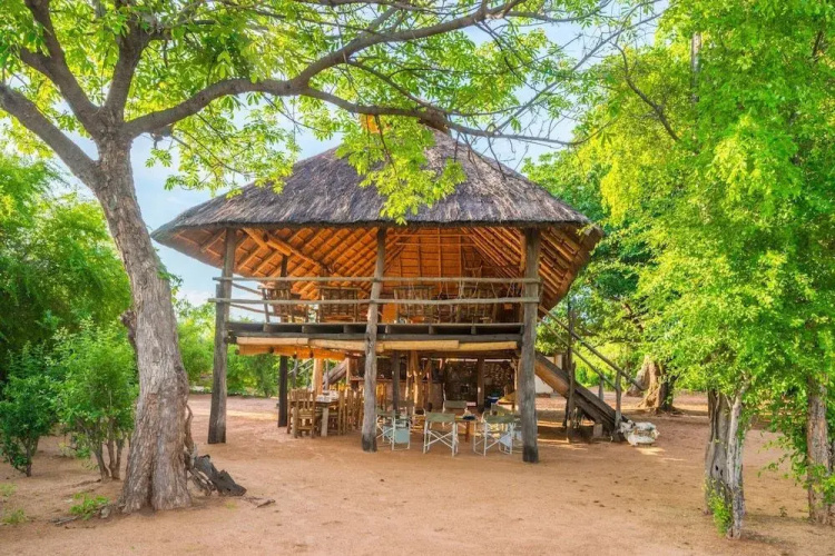Rhino Safari Camp