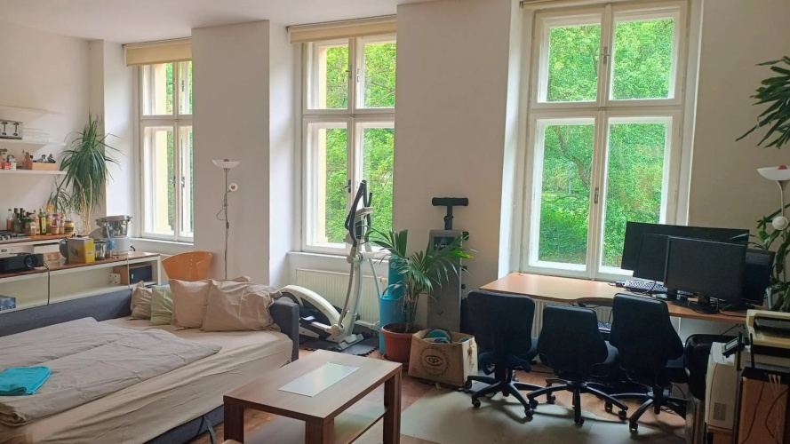 Park View - a digital Nomad's dream