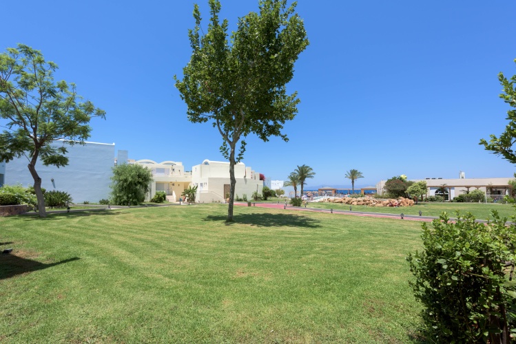 Avra Beach Resort Hotel & Bungalows photo 25