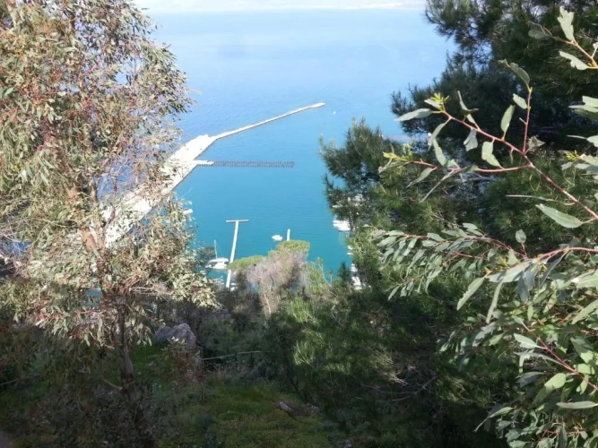 Cottage