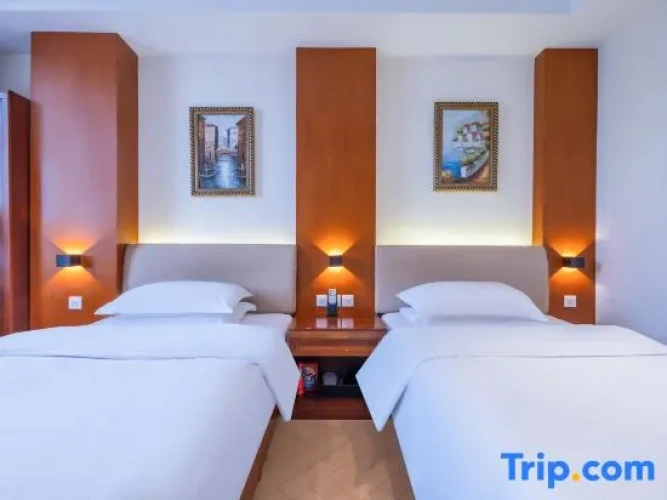 Standard Twin room with city view
