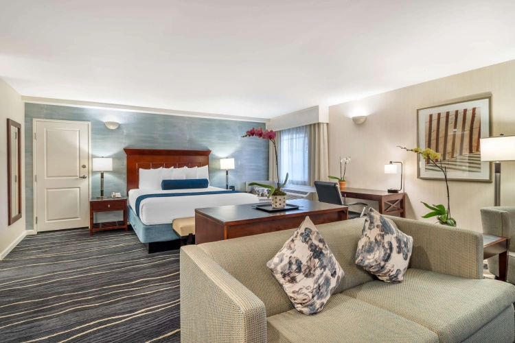 Double Suite