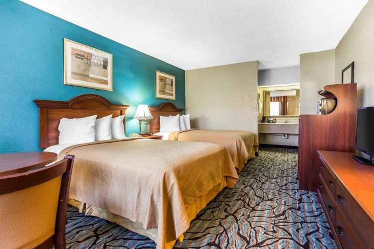 Twin Studio Suite