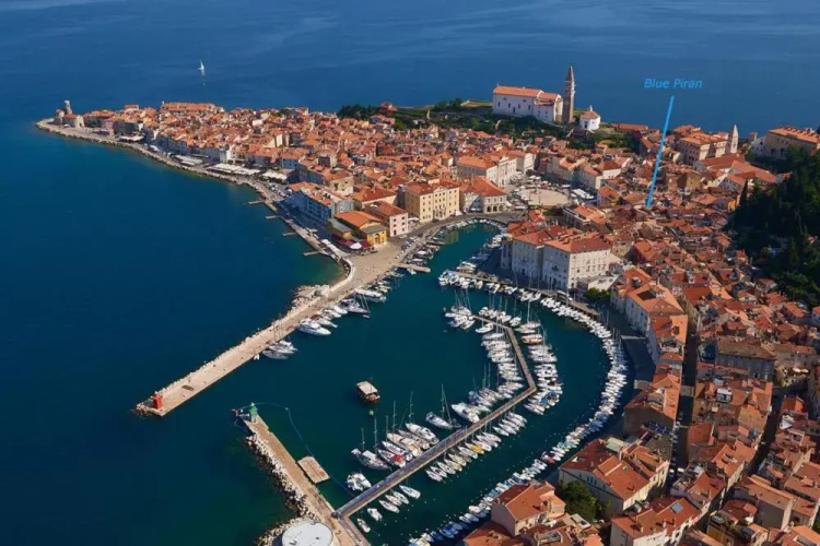 Blue Piran