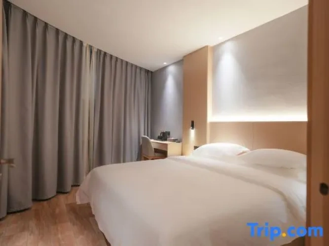 1 Bedroom Executive Suite