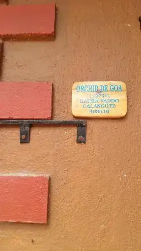 Orchid De Goa