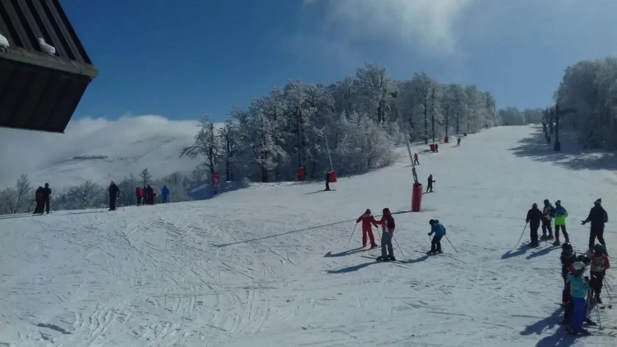 Les feignes cerfdoré