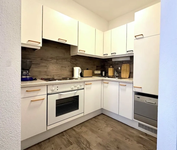 1 Bedroom Comfort Apartment with balcony and with mountain view