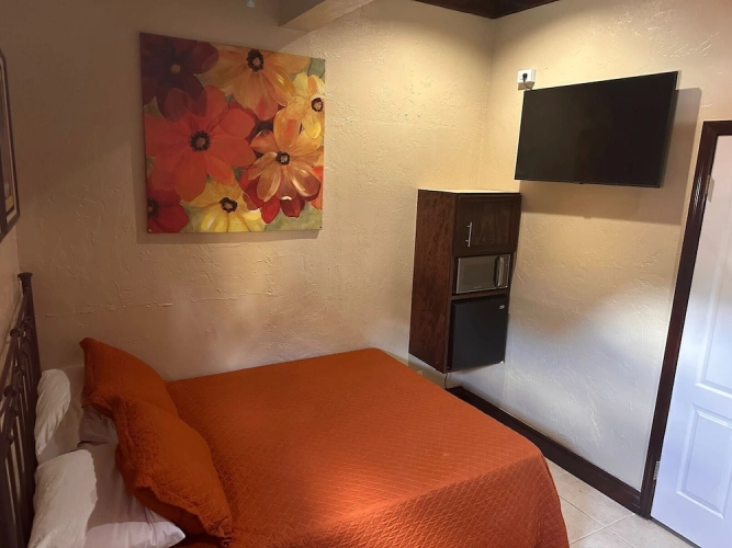 1 Bedroom Standard Studio