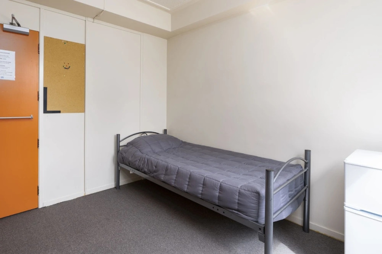 YWCA Auckland