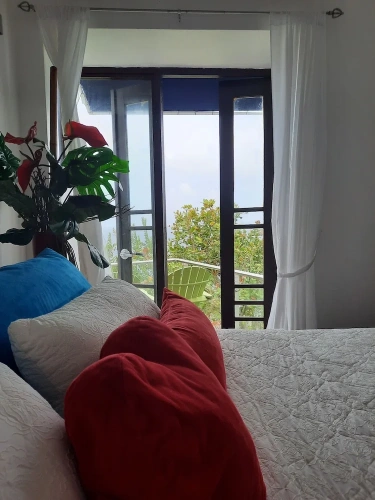 Premium Double room with balcony and with ocean view