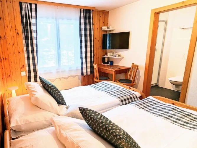Standard Double room with mountain view