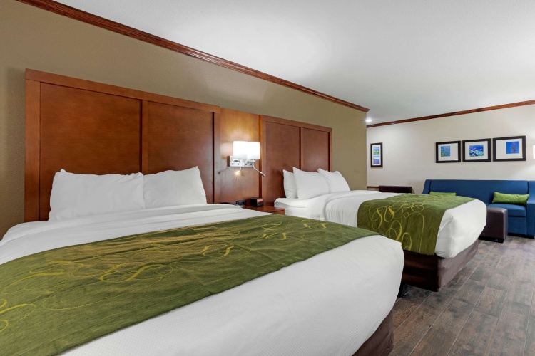 Quadruple Suite