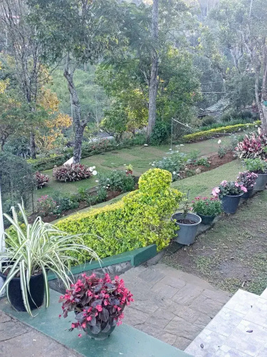 Miselly's Bangalow Hostel