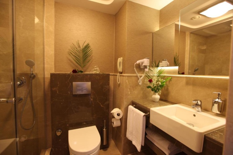 Standard Double room with balcony and with sea view