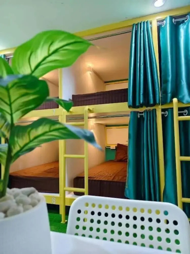 Banana Bunkhouse Hostel