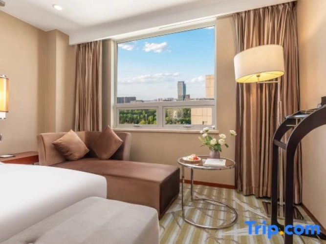 Executive Double Suite