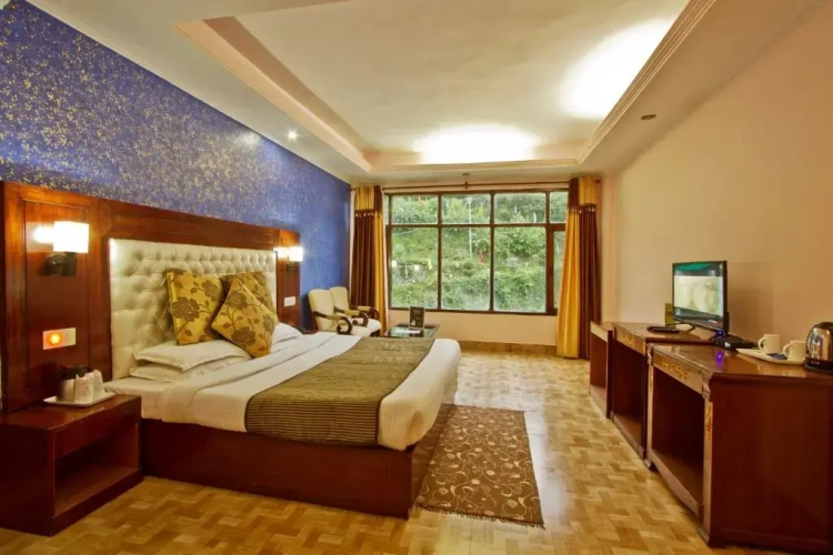 Deluxe room with view