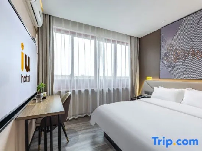 Standard Double room with view
