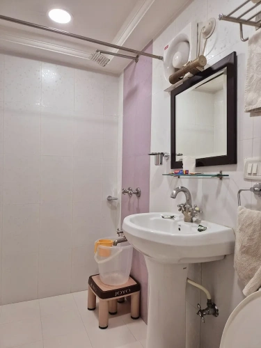 Deluxe Suite with city view