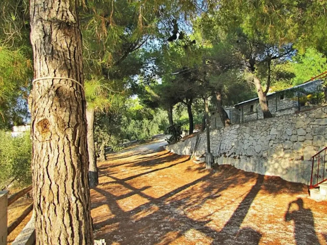 Residence Mattinatella