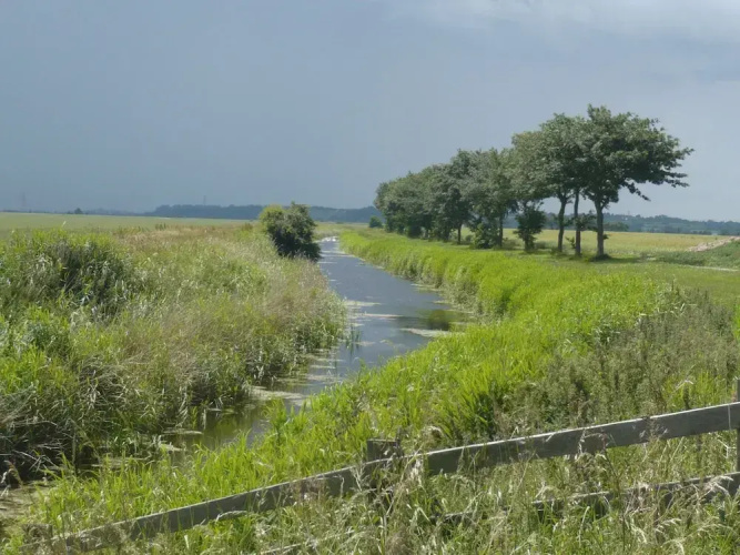 Cottage in Brookland Near Romney Marsh