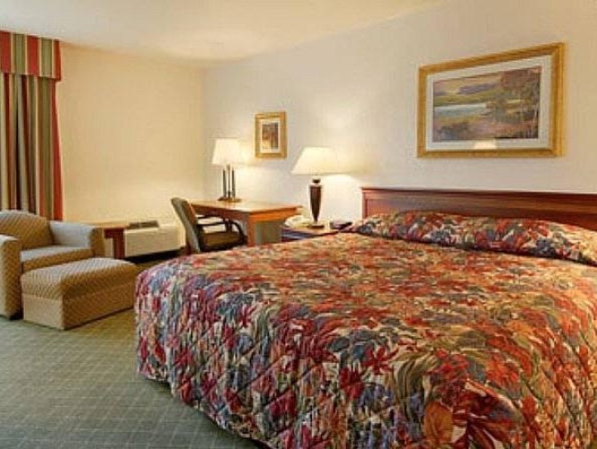 1 Bedroom Double Suite