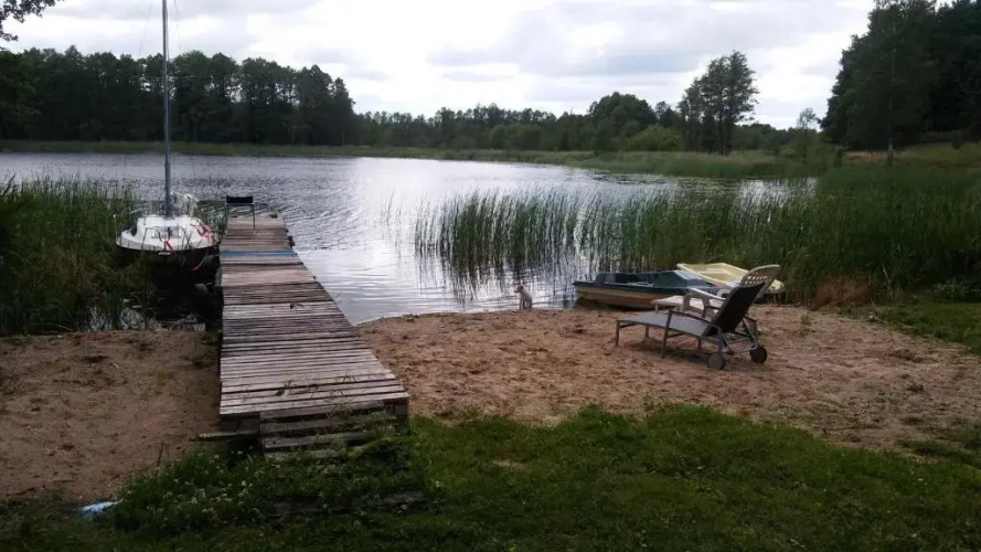 Domek Zalesie
