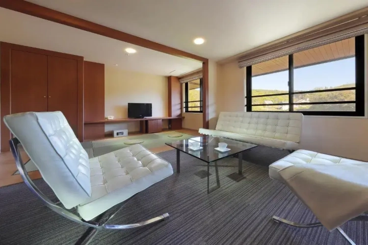 Standard room with river view