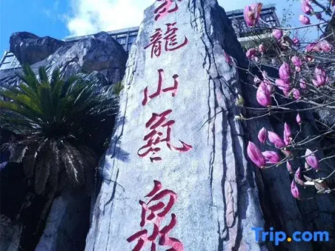 Yulongshan Dong Spring Resort