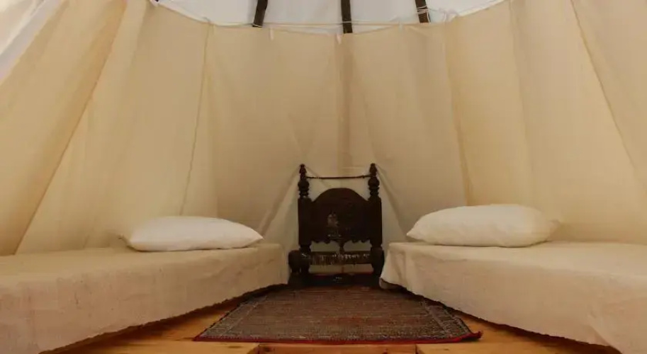 Tipis Des Oliviers