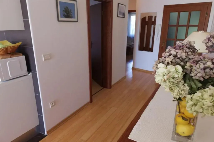 Apartment 2 Biba 41