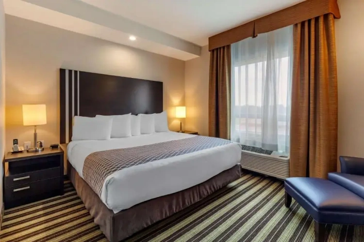 1 Bedroom Double Suite